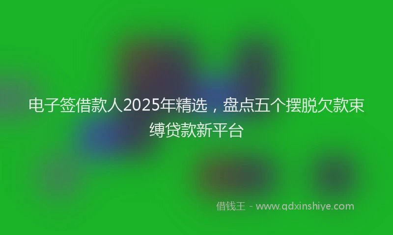 电子签借款人2025年精选，盘点五个摆脱欠款束缚贷款新平台