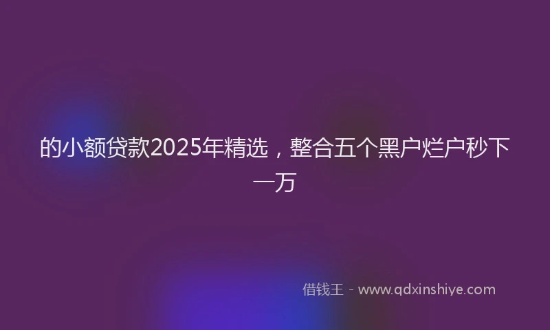 的小额贷款2025年精选，整合五个黑户烂户秒下一万