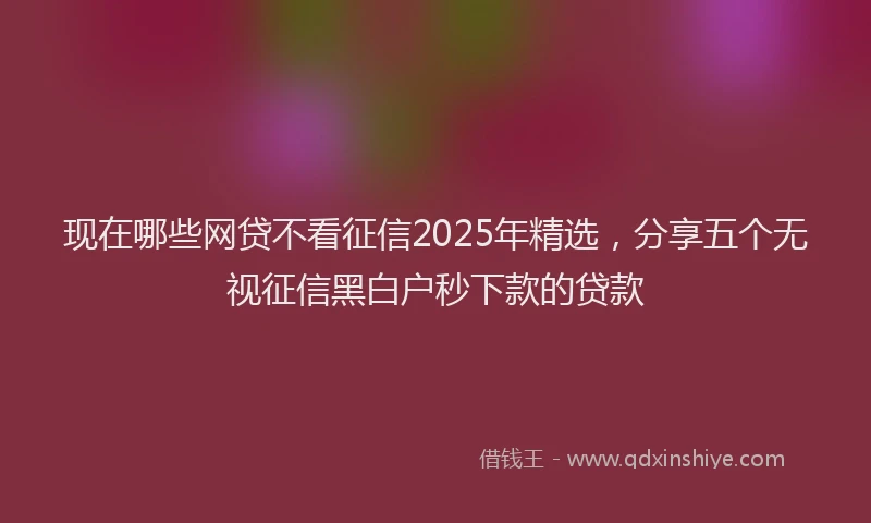 现在哪些网贷不看征信2025年精选，分享五个无视征信黑白户秒下款的贷款