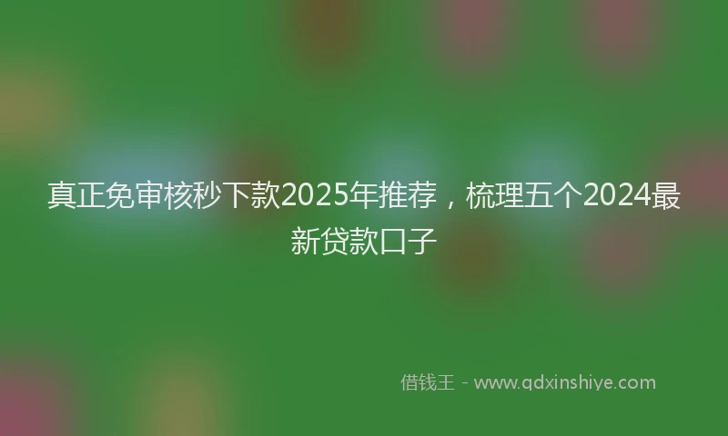 真正免审核秒下款2025年推荐，梳理五个2024最新贷款口子