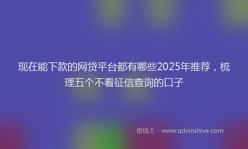现在能下款的网贷平台都有哪些2025年推荐，梳理五个不看征信查询的口子