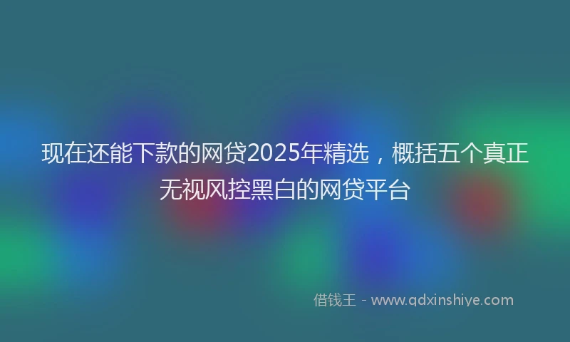 现在还能下款的网贷2025年精选，概括五个真正无视风控黑白的网贷平台