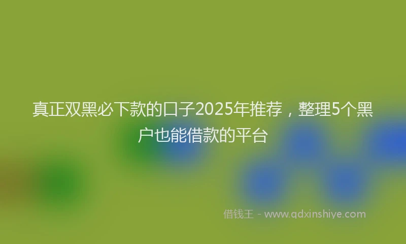 真正双黑必下款的口子2025年推荐，整理5个黑户也能借款的平台