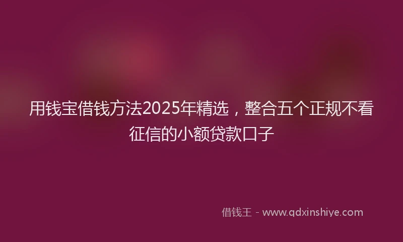 用钱宝借钱方法2025年精选，整合五个正规不看征信的小额贷款口子