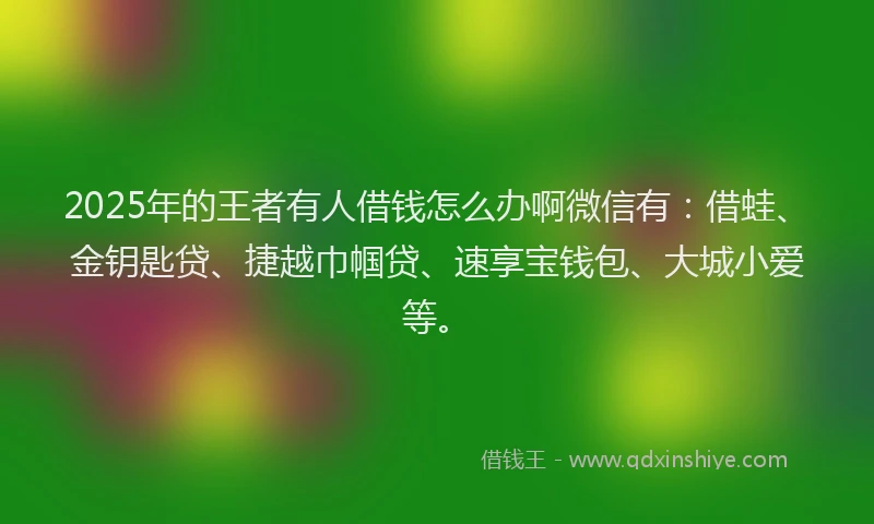 2025年的王者有人借钱怎么办啊微信有：借蛙、金钥匙贷、捷越巾帼贷、速享宝钱包、大城小爱等。