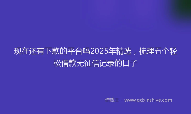 现在还有下款的平台吗2025年精选，梳理五个轻松借款无征信记录的口子