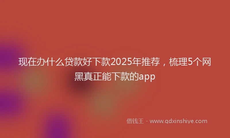 现在办什么贷款好下款2025年推荐，梳理5个网黑真正能下款的app