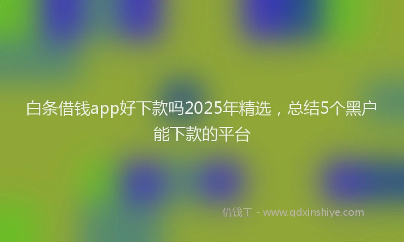 白条借钱app好下款吗2025年精选，总结5个黑户能下款的平台