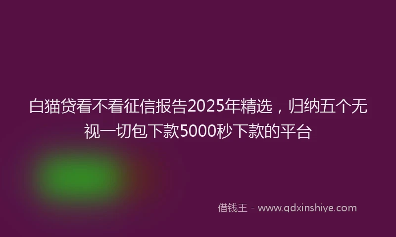 白猫贷看不看征信报告2025年精选，归纳五个无视一切包下款5000秒下款的平台
