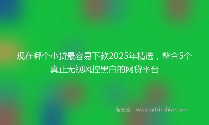 现在哪个小贷最容易下款2025年精选，整合5个真正无视风控黑白的网贷平台