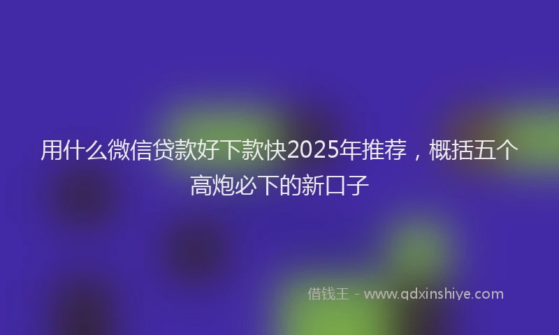 用什么微信贷款好下款快2025年推荐，概括五个高炮必下的新口子