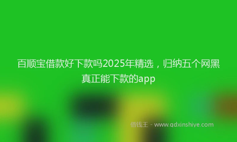 百顺宝借款好下款吗2025年精选，归纳五个网黑真正能下款的app