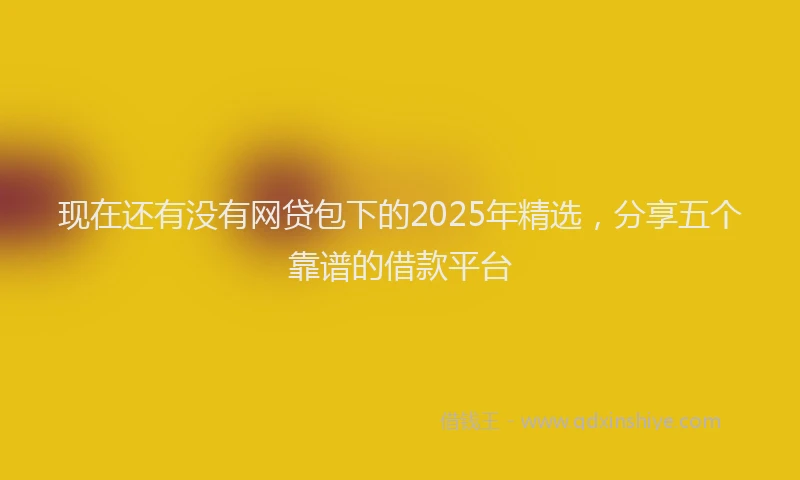 现在还有没有网贷包下的2025年精选，分享五个靠谱的借款平台