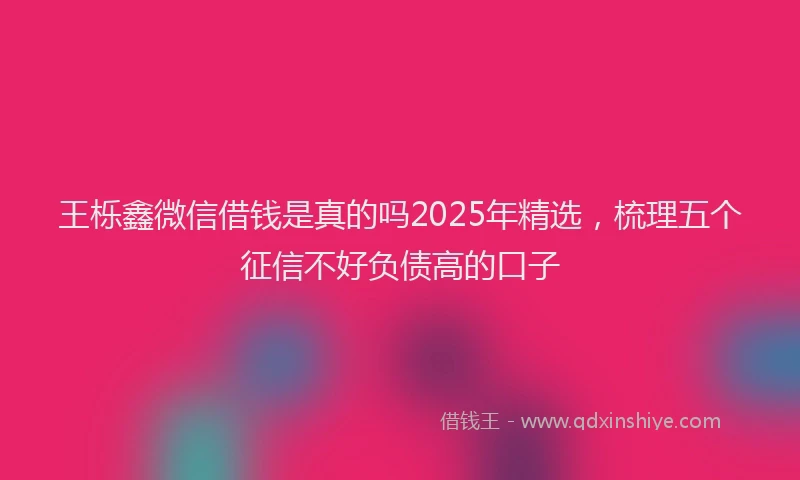 王栎鑫微信借钱是真的吗2025年精选，梳理五个征信不好负债高的口子