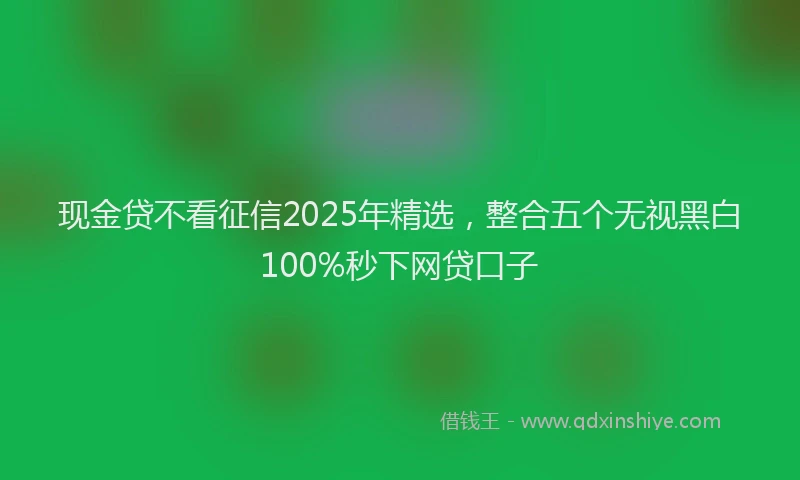 现金贷不看征信2025年精选，整合五个无视黑白100%秒下网贷口子