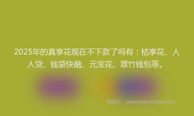2025年的真享花现在不下款了吗有：桔享花、人人贷、钱袋快融、元宝花、翠竹钱包等。