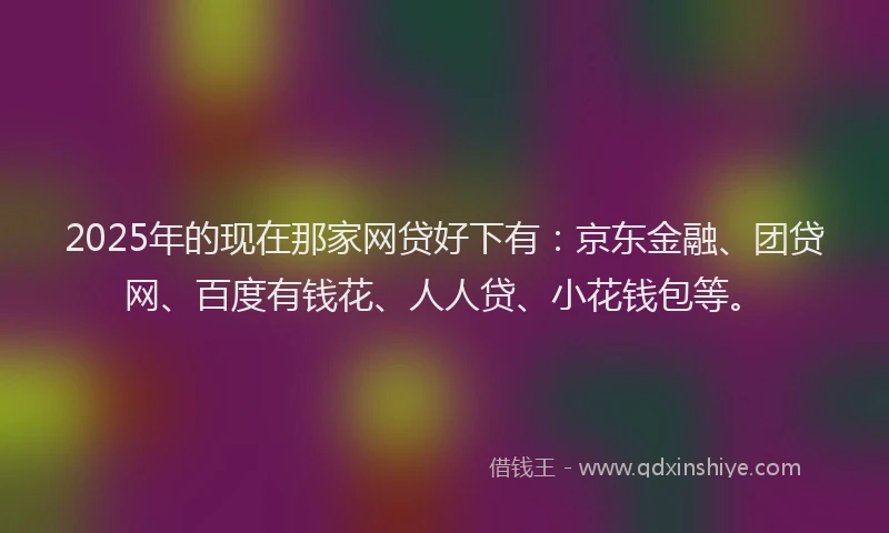 2025年的现在那家网贷好下有：京东金融、团贷网、百度有钱花、人人贷、小花钱包等。
