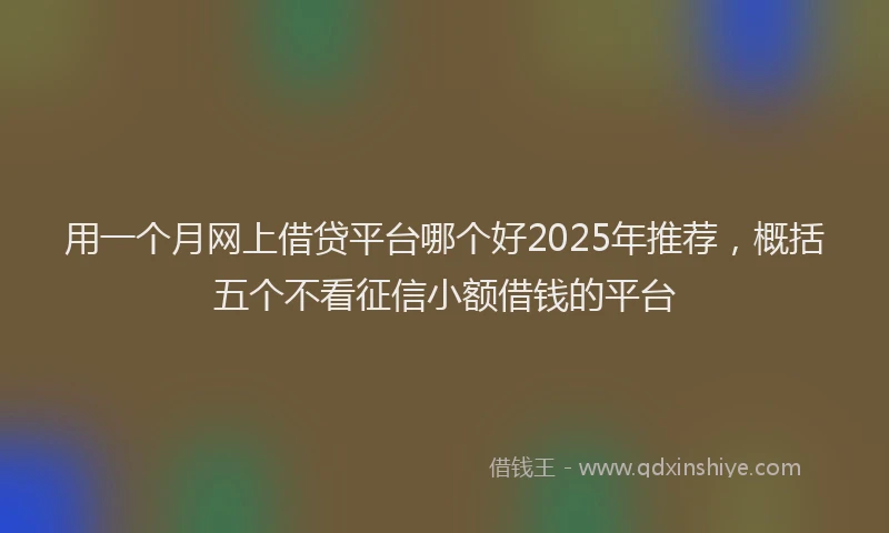 用一个月网上借贷平台哪个好2025年推荐，概括五个不看征信小额借钱的平台