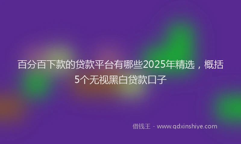 百分百下款的贷款平台有哪些2025年精选，概括5个无视黑白贷款口子