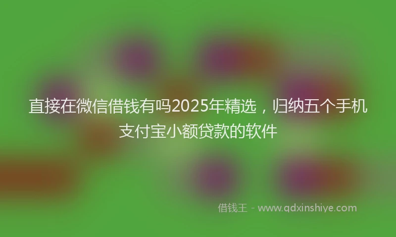 直接在微信借钱有吗2025年精选，归纳五个手机支付宝小额贷款的软件