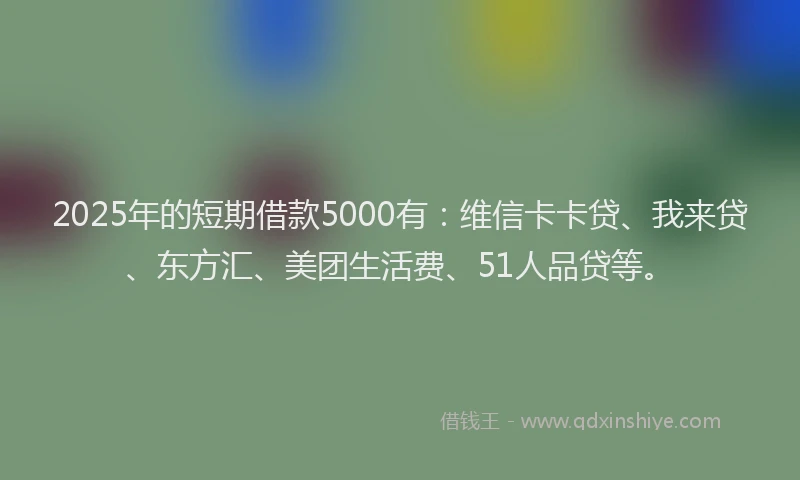2025年的短期借款5000有：维信卡卡贷、我来贷、东方汇、美团生活费、51人品贷等。