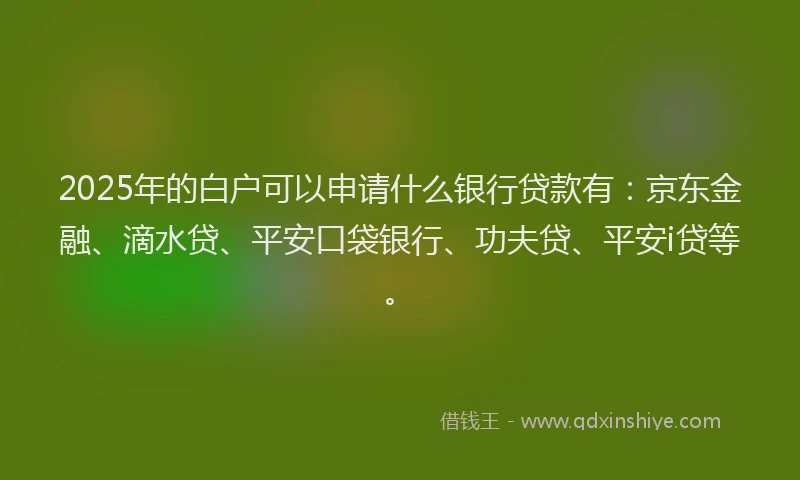 2025年的白户可以申请什么银行贷款有：京东金融、滴水贷、平安口袋银行、功夫贷、平安i贷等。