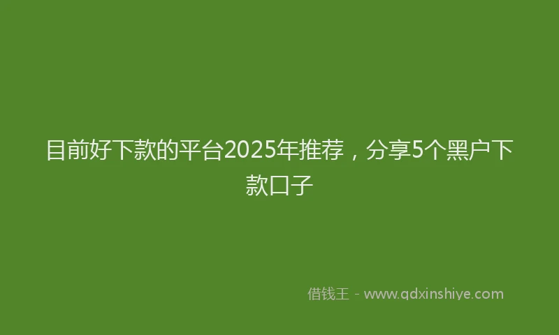 目前好下款的平台2025年推荐，分享5个黑户下款口子
