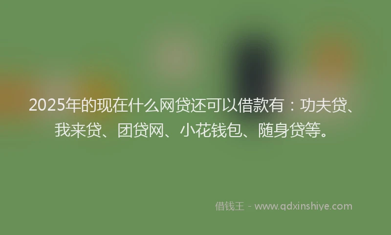 2025年的现在什么网贷还可以借款有：功夫贷、我来贷、团贷网、小花钱包、随身贷等。