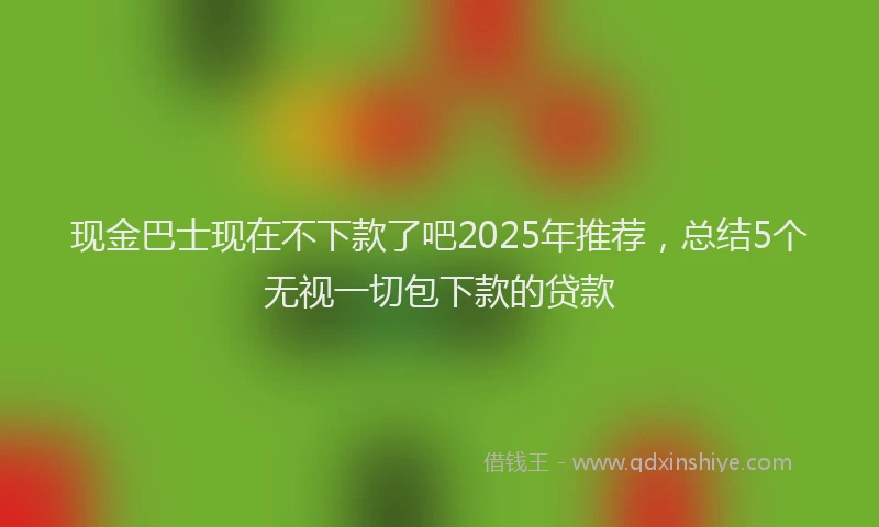 现金巴士现在不下款了吧2025年推荐，总结5个无视一切包下款的贷款