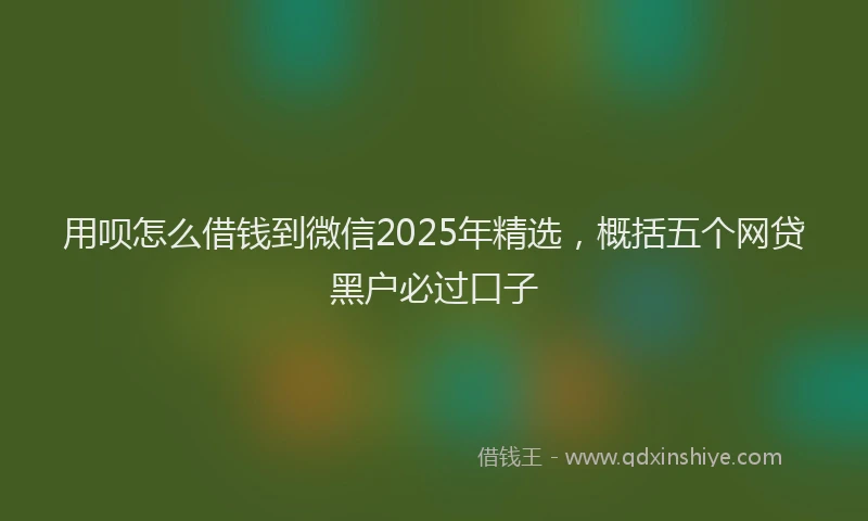 用呗怎么借钱到微信2025年精选，概括五个网贷黑户必过口子