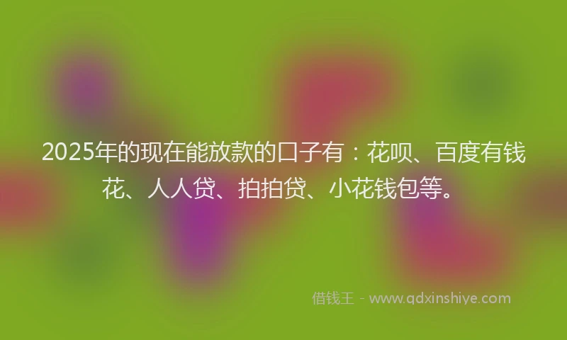 2025年的现在能放款的口子有：花呗、百度有钱花、人人贷、拍拍贷、小花钱包等。