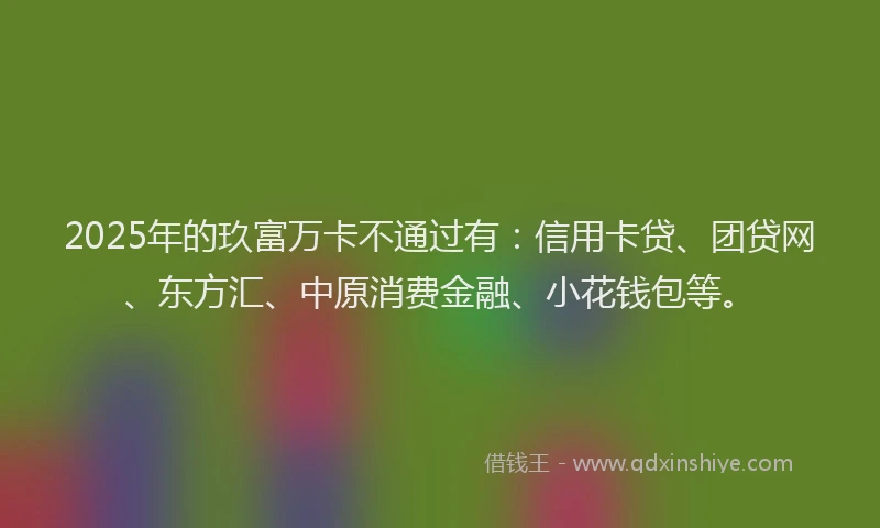 2025年的玖富万卡不通过有：信用卡贷、团贷网、东方汇、中原消费金融、小花钱包等。