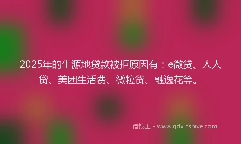 2025年的生源地贷款被拒原因有：e微贷、人人贷、美团生活费、微粒贷、融逸花等。