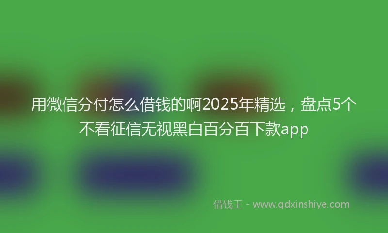 用微信分付怎么借钱的啊2025年精选，盘点5个不看征信无视黑白百分百下款app