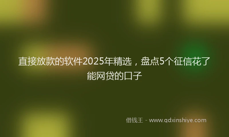 直接放款的软件2025年精选，盘点5个征信花了能网贷的口子