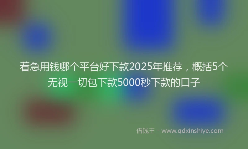 着急用钱哪个平台好下款2025年推荐，概括5个无视一切包下款5000秒下款的口子