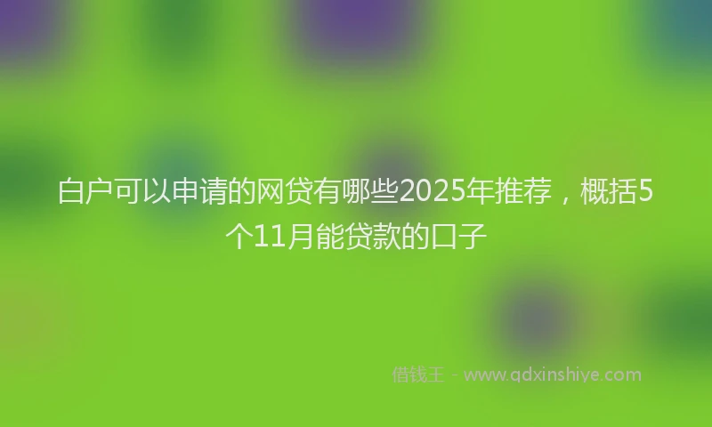 白户可以申请的网贷有哪些2025年推荐，概括5个11月能贷款的口子