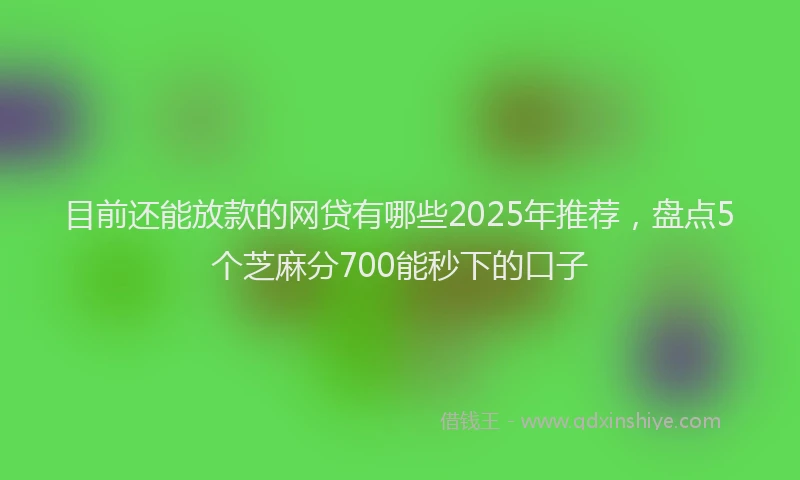 目前还能放款的网贷有哪些2025年推荐，盘点5个芝麻分700能秒下的口子