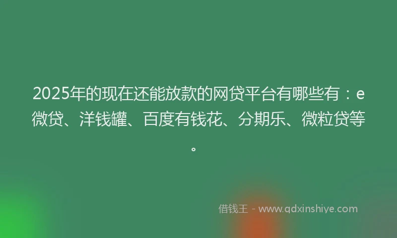 2025年的现在还能放款的网贷平台有哪些有：e微贷、洋钱罐、百度有钱花、分期乐、微粒贷等。