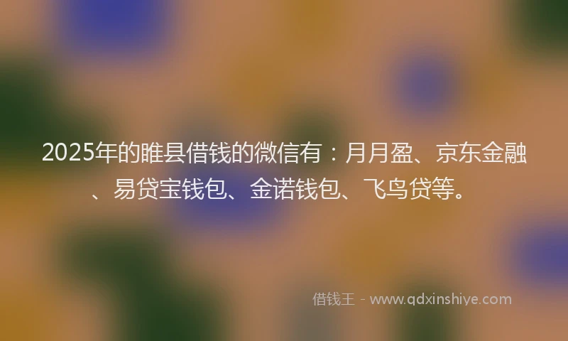 2025年的睢县借钱的微信有：月月盈、京东金融、易贷宝钱包、金诺钱包、飞鸟贷等。