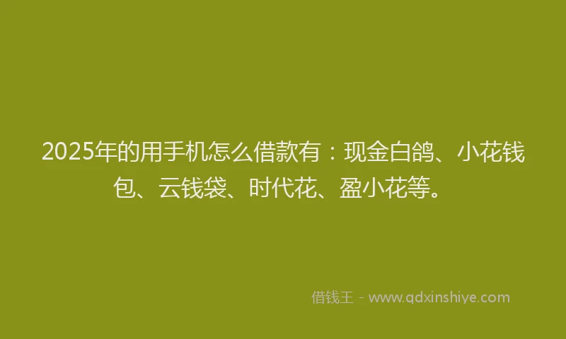 2025年的用手机怎么借款有：现金白鸽、小花钱包、云钱袋、时代花、盈小花等。