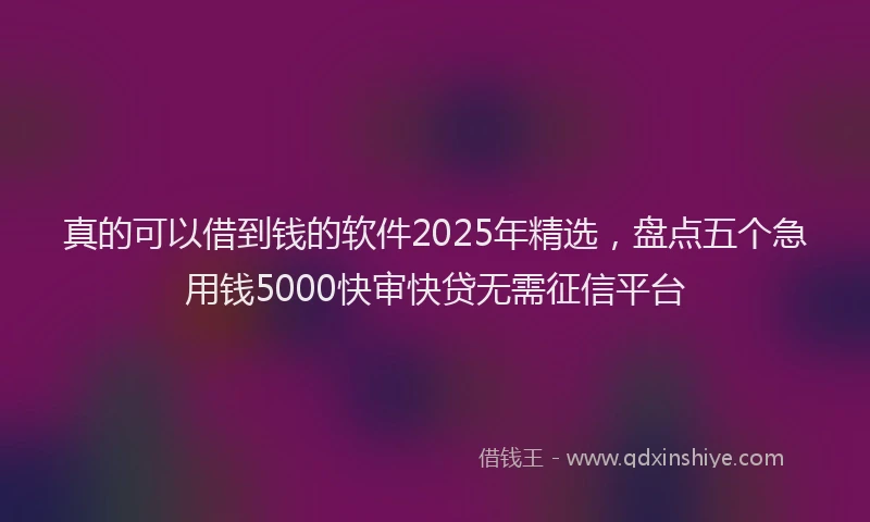 真的可以借到钱的软件2025年精选，盘点五个急用钱5000快审快贷无需征信平台