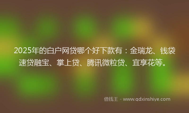 2025年的白户网贷哪个好下款有：金瑞龙、钱袋速贷融宝、掌上贷、腾讯微粒贷、宜享花等。
