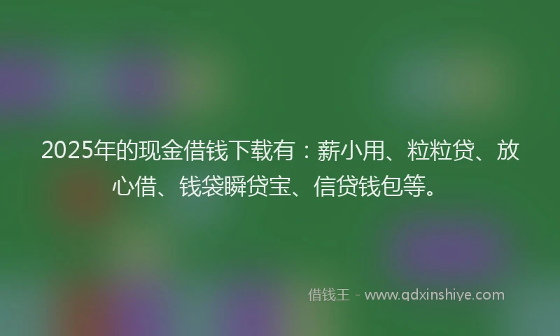 2025年的现金借钱下载有：薪小用、粒粒贷、放心借、钱袋瞬贷宝、信贷钱包等。