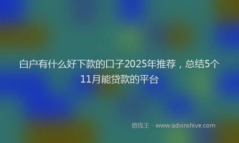 白户有什么好下款的口子2025年推荐，总结5个11月能贷款的平台