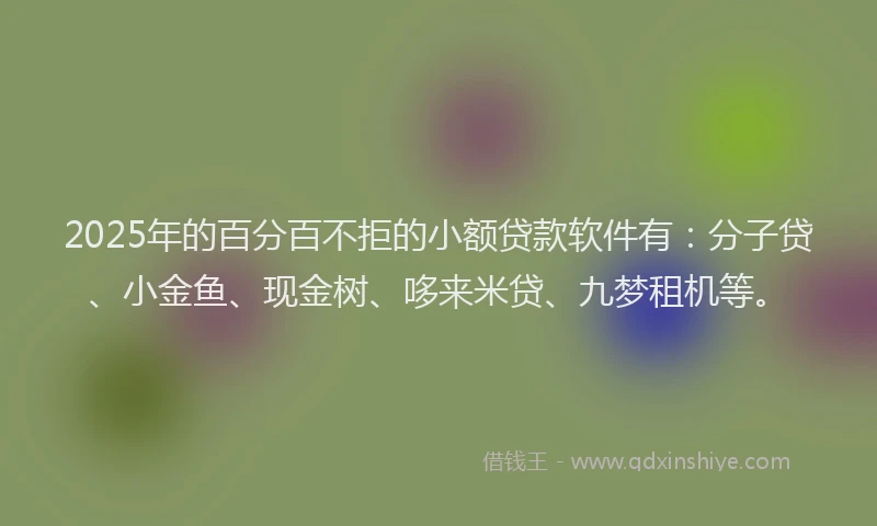 2025年的百分百不拒的小额贷款软件有：分子贷、小金鱼、现金树、哆来米贷、九梦租机等。