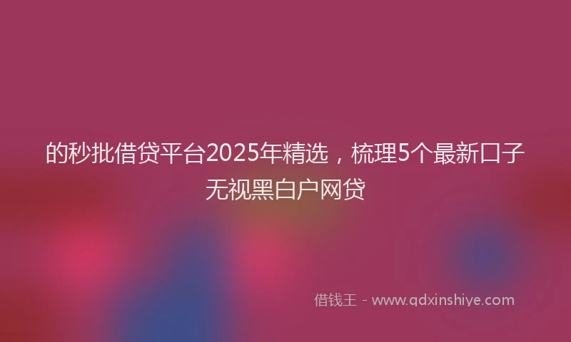 的秒批借贷平台2025年精选，梳理5个最新口子无视黑白户网贷