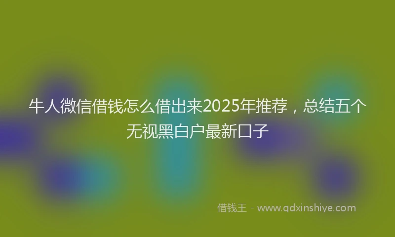 牛人微信借钱怎么借出来2025年推荐，总结五个无视黑白户最新口子