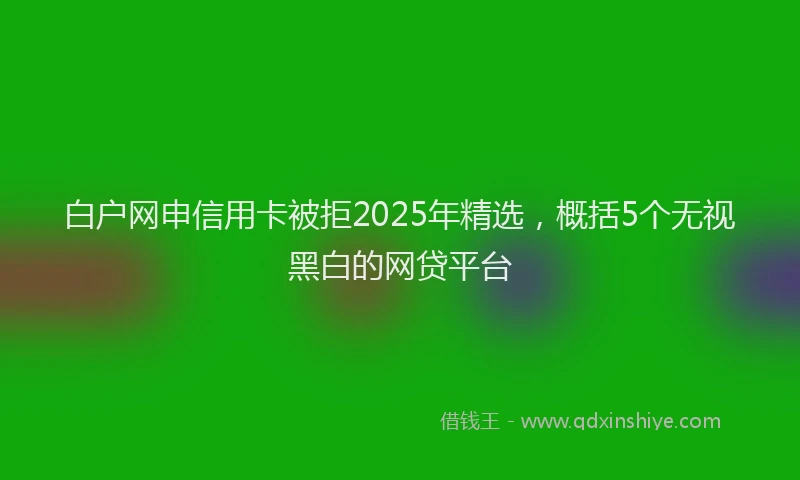 白户网申信用卡被拒2025年精选，概括5个无视黑白的网贷平台