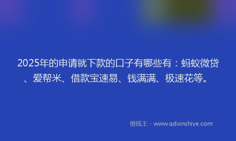 2025年的申请就下款的口子有哪些有：蚂蚁微贷、爱帮米、借款宝速易、钱满满、极速花等。